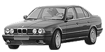 BMW E34 P2488 Fault Code